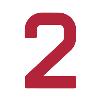 9 Inch | 235mm Polyester Insignia Red Sail Number - No 2