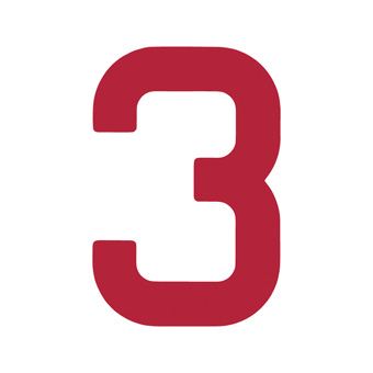 9 Inch | 235mm Polyester Insignia Red Sail Number - No 3