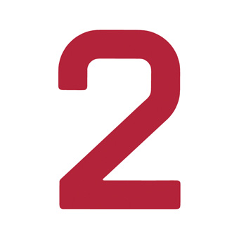 12 Inch | 308mm Polyester Insignia Red Sail Number - No 2