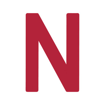 12 Inch | 308mm Polyester Insignia Red Sail Letter - N